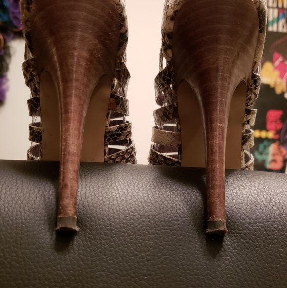 STEVE MADDEN~Nusance Natural Snake. Authentic - Picture 9 of 12